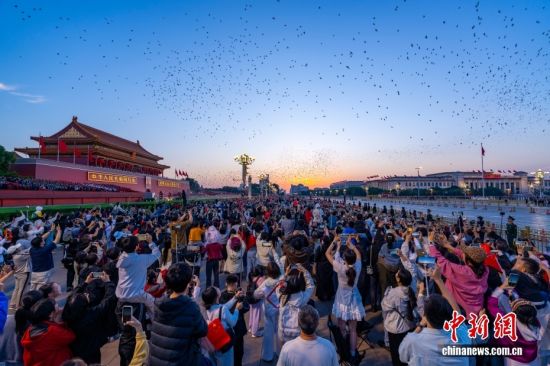 中新社镜头下的2025