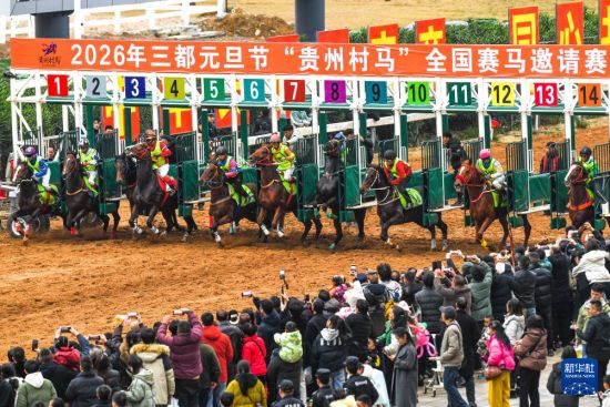 贵州“村马”迎元旦