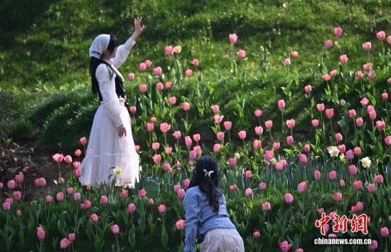 江南春日 浙江杭州唯美花境醉游人