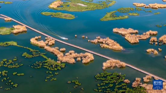 春日沙湖：沙水相依 绘就生态画卷