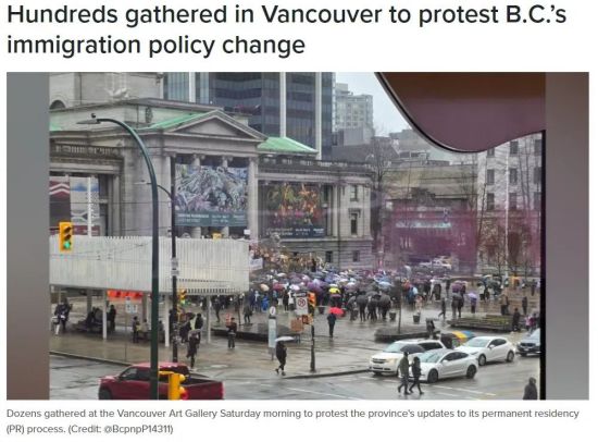 加拿大大批华人、留学生移民梦碎！冒雨上街抗议：