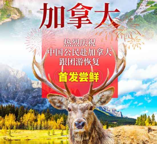 中国公民赴加拿大跟团游恢复！多伦多机票搜索量突然猛增