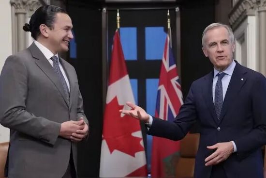 政治稳定，无人能挡，卡尼决定放手一搏持续到2029年