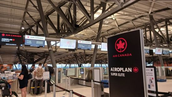 加拿大机票暴涨70%创年内新高！唯独一个地方反而便宜了