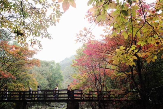 超23亿人次将踏上旅途！创意文旅点燃中国旅游市场