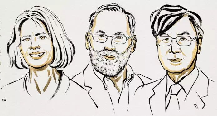 2025诺贝尔奖｜三名美、日学者共同夺得医学奖 促进癌症及免疫系统疾病等新疗法