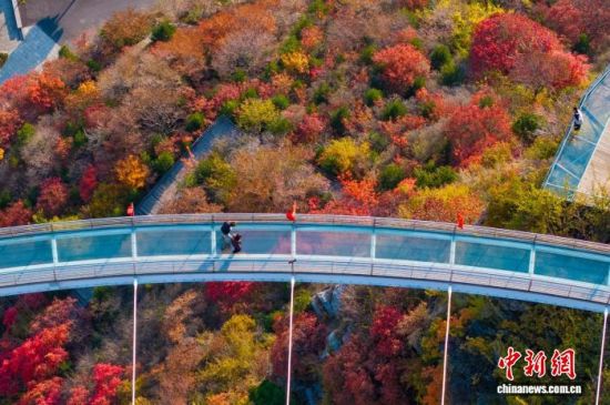 “悟空”陪游、云端赏叶 中国年轻人踏秋追求“情价比”