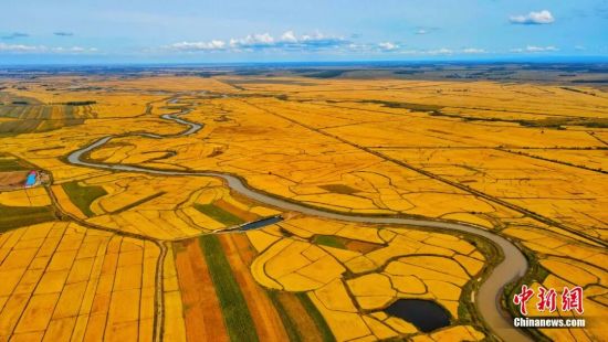 人这一辈子，一定要去一趟秋收的北大荒！