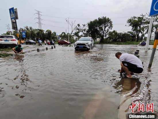 直击海口灾后现场：加快清理恢复生产生活秩序