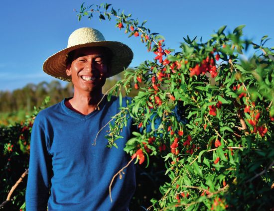 青海打造绿色有机农畜产品输出地