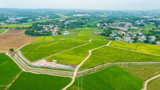 湖南浏阳：一亩耕地的“生长”