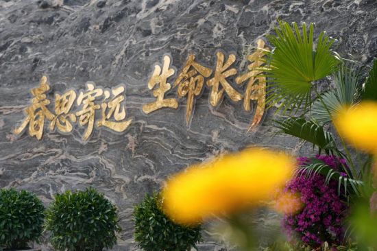 生态安葬，从被动接受到主动预约